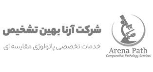 logo4-1.png